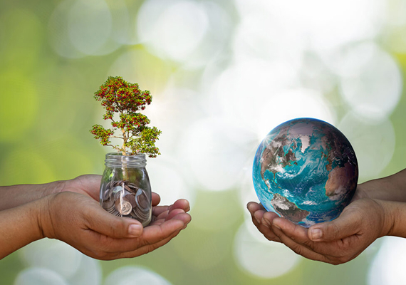 Mãos segurando planta e globo terrestre
